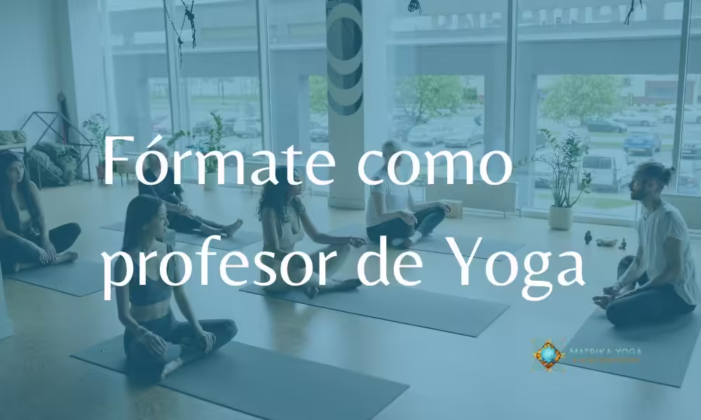 imagen destacada sobre qué estudiar para ser profesor de yoga